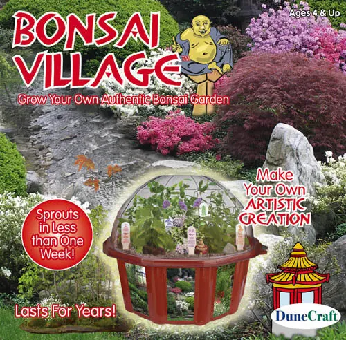 000179 - Bonsai Village Garden 1