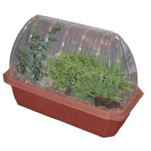 000056 - Healing Garden Windowsill Green House 1
