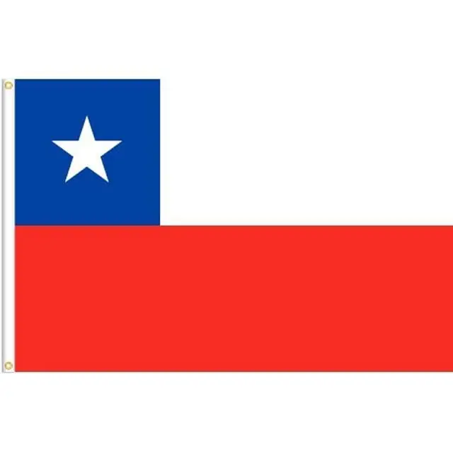 10494 - Chile Souvenir Flag 3 X 5Ft 1