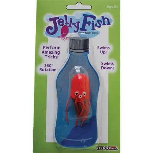 12090 - Jellyfish Science Fun 1