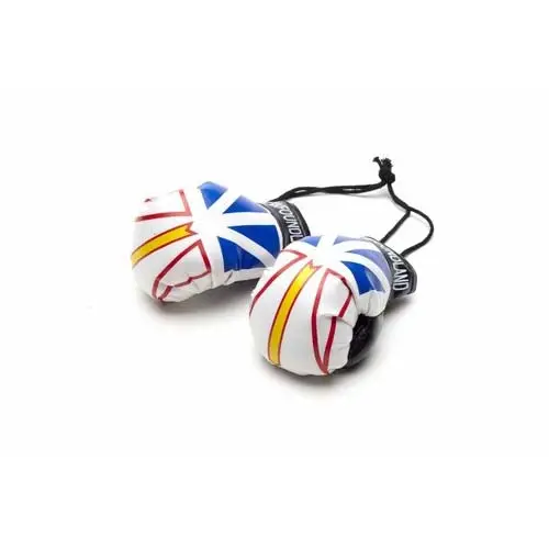 14481 - Newfoundland Souvenir Boxing Gloves Mini 1