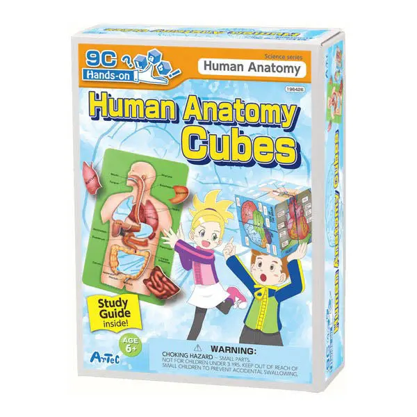 196426 - Human Anatomy Cubes With Guidebook 1