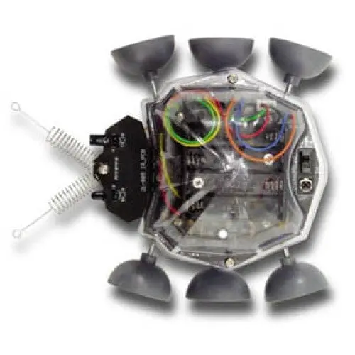 21-885 - Ladybug Robot Kit 1