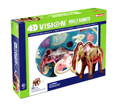 26110 - Woolly Mammoth Anatomy Model 4D-Vision 1