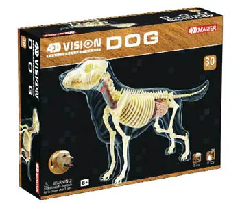 26721 - Dog Skeleton Model-Ages 8+ 4D-Vision 1