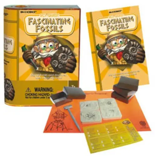 2283 - Exploring Fossils 1