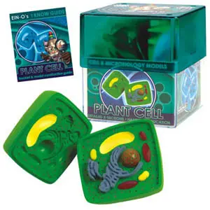 32371-Plant - Plant Cell-Cell And Microbiology Model 1