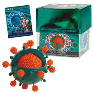 32371-Virus - Virus-Cell And Microbiology Mode Model 1