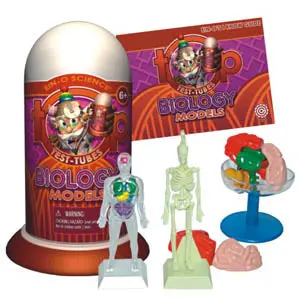 2594 - Biology Models 1