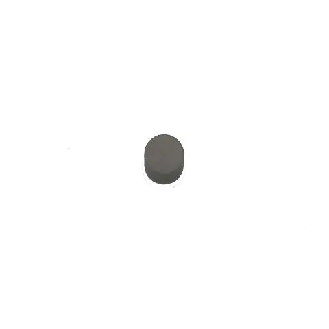 1640-1895 - Magnet Coin 5Mm Dia 1.5Mm Thick  (10 Pcs/Pkg) 1