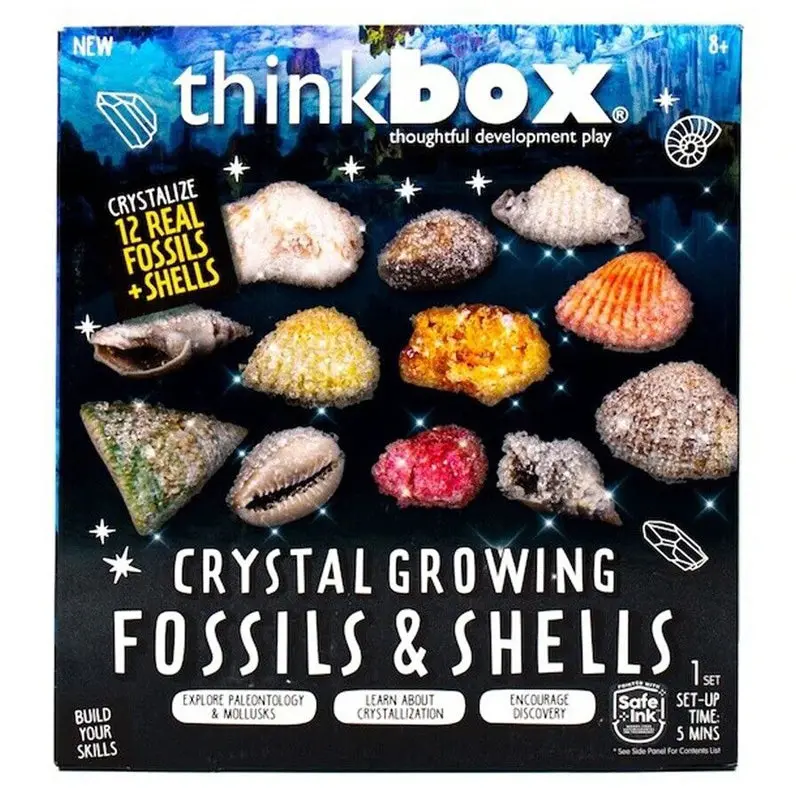 213803-Bl - Thinkbox Crystal Growing Fossils Shells 1