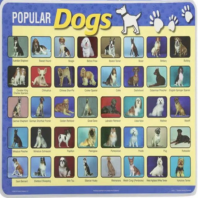 6550-Wg24 - Placemat Popular Dogs 1