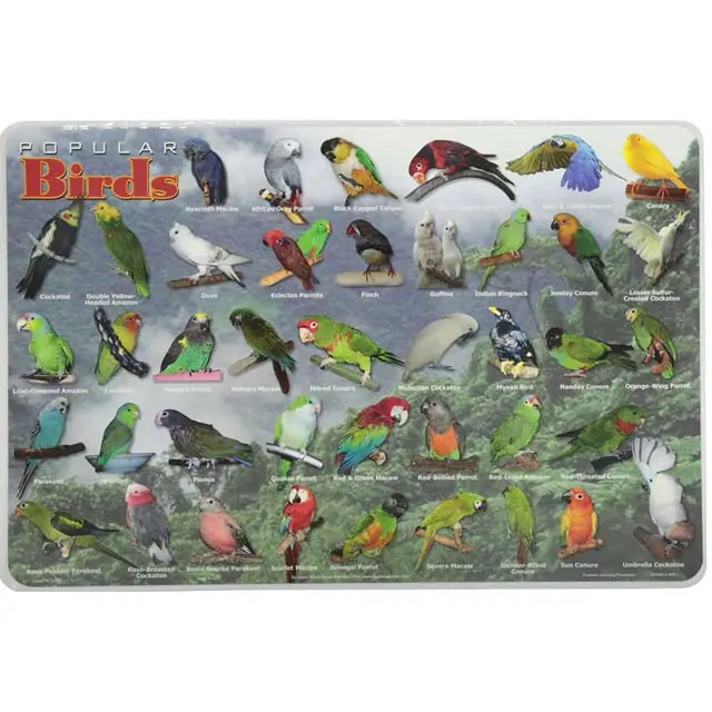 Plp-Bir-1 - Placemat Popular Birds 1
