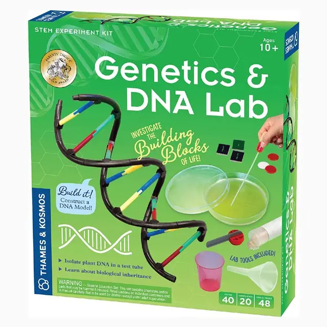 665007 - Genetics And Dna 1