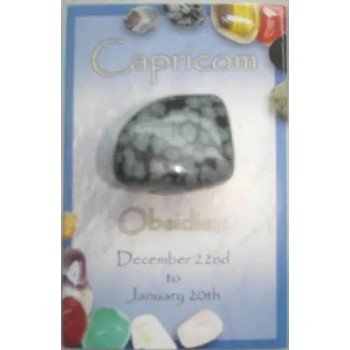 Pk05-Capricorn - Zodiac Stone Box-Capricorn 1