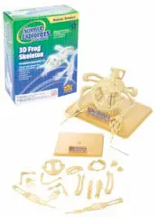 86020 - Frog Skeleton 3D 1