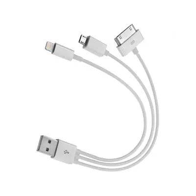 Elk-4000 - Usb Cable A Male To Micro/30P/8P Wht 1