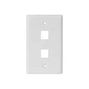 Wp-2Cut White Plain - Wall Plate 2Port White Plain 1