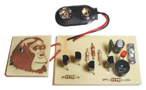 C6877 - Monkey Surprise - Sound Effect 1