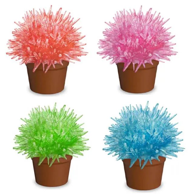 Dg1004 - Crystal Cactus Assorted Colors 1