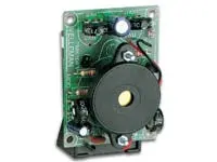 Mk104 - Electronic Cricket (Insect) 1