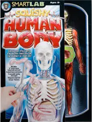 Sl06428-12623 - Human Body 1