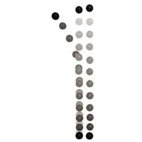 P6-1000 - Happy Balls-Physics 1