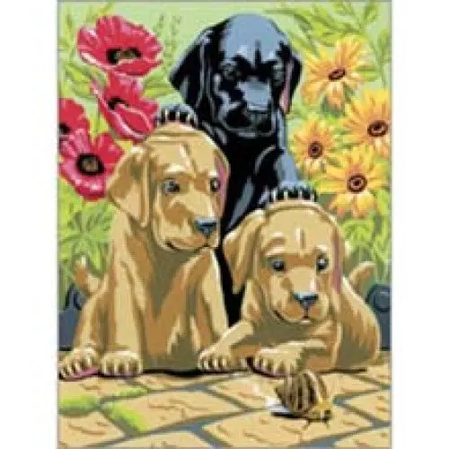 Pjs30 - Junior Small Designs-Labrador Puppies 1