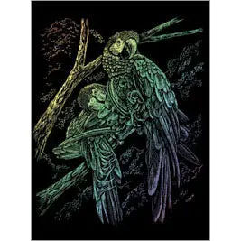 Rain13 - Rainbow Engraving-Tropical Bird 1