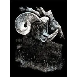 Silf17 - Silver Engraving Longhorn Ram 1