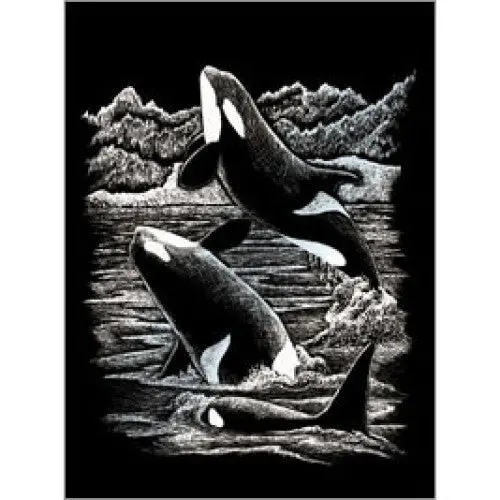 Silf19 - Silver Engraving Orca Whales 1
