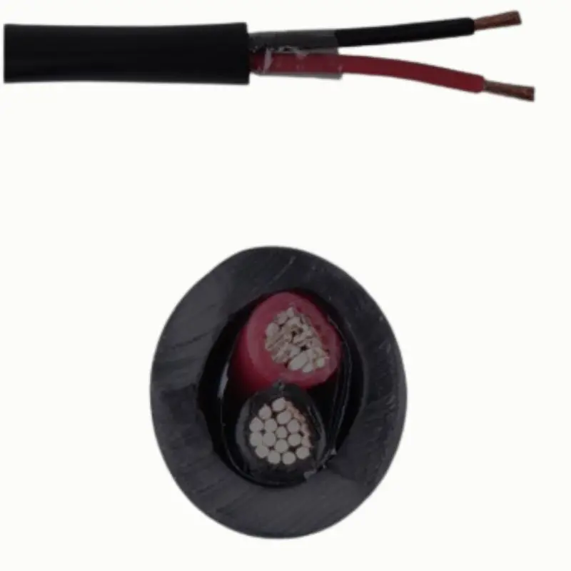 Wcf-5204B - Speaker Wire Awg 16 2C 100Ft Blk Direct Burial 1