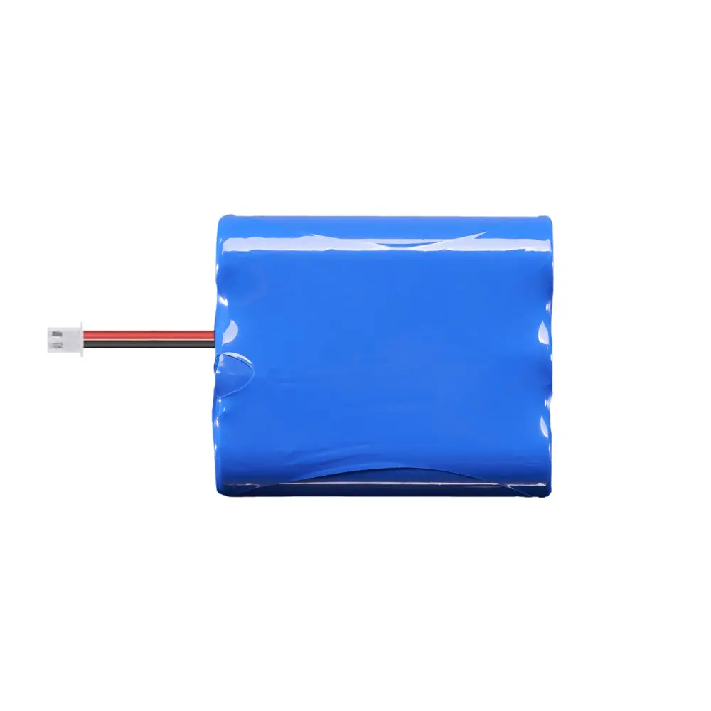 Lithium-Ion Battery - Solar + Led Floodlight 3000 1
