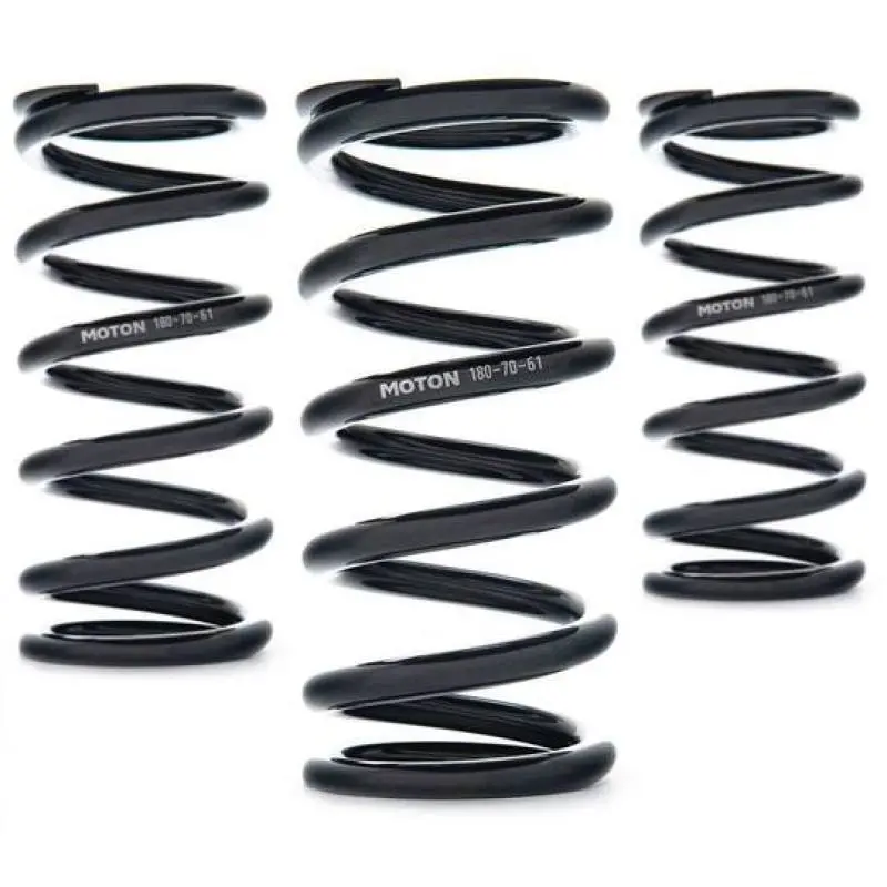 Ast Linear Race Coil Springs – 300Mm Length, 95 N/Mm Rate, 61Mm Id – Pair 1