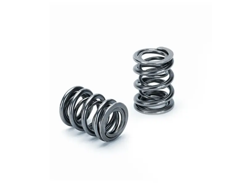 Supertech Dual Valve Spring Kit For Honda K20, K24, F20C1 & F22C1 Engines (Single Pack, Drop Ship) 1